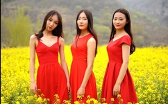 久草在线一免费新视频